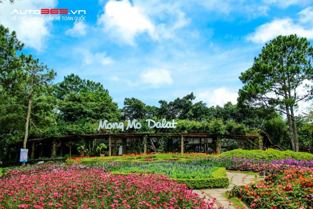 đồi mộng mơ