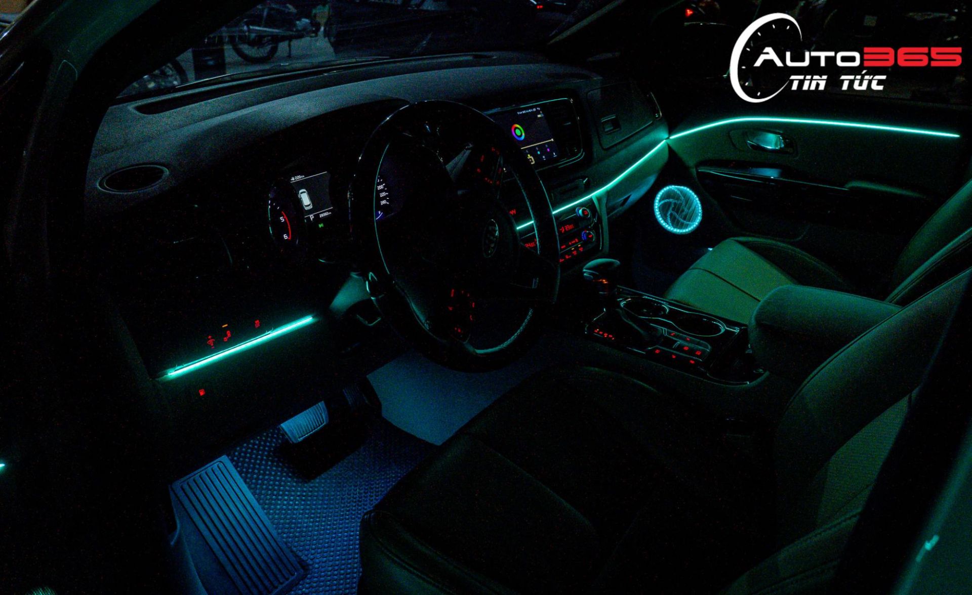 led-vien-cardi.jpg
