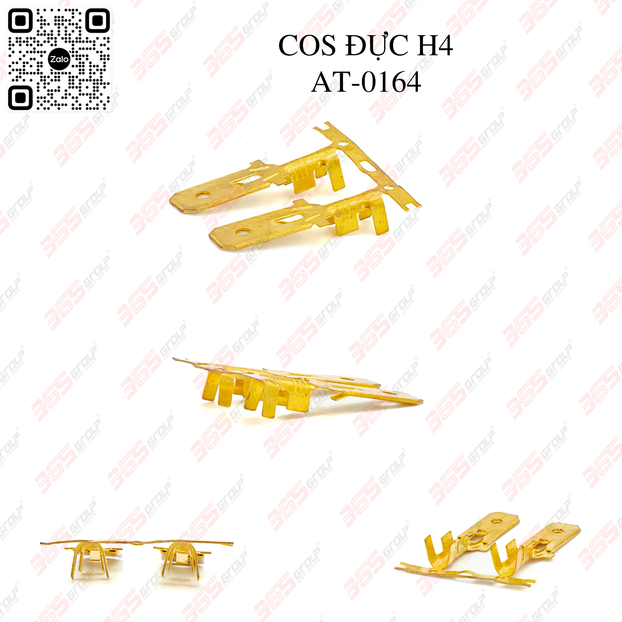 COS ĐỰC H4 - AT-0164