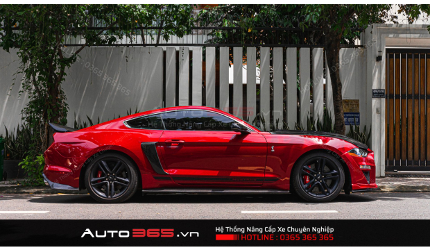 X-light V30L “Xóa cận” thành công cho Ford Mustang Shelby GT500