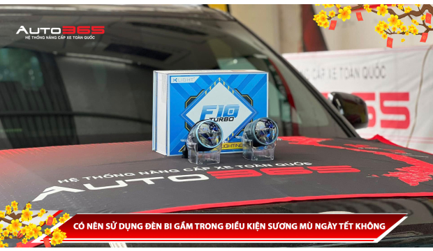 CÓ NÊN SỬ DỤNG ĐÈN BI GẦM TRONG ĐIỀU KIỆN SƯƠNG MÙ NGÀY TẾT KHÔNG?