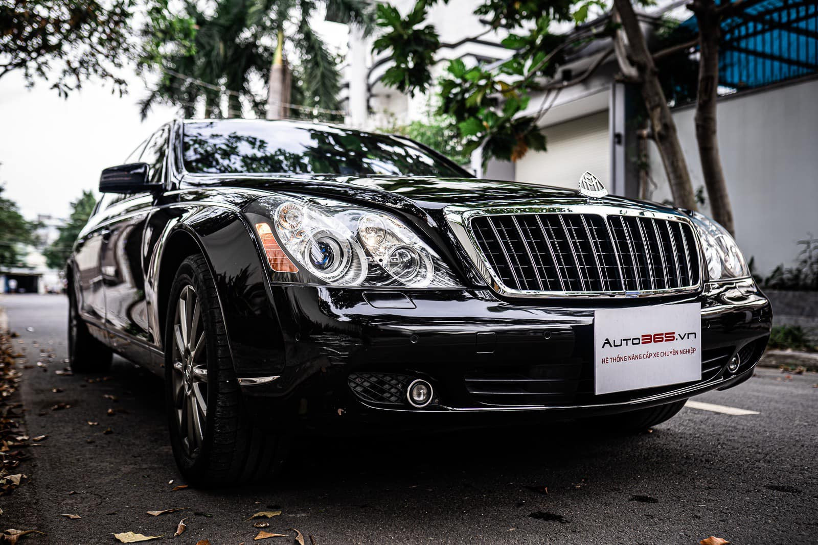 maybach-2.jpg