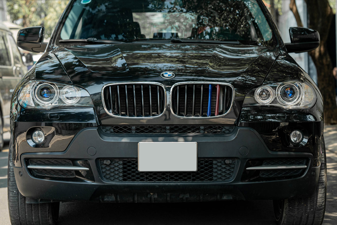 o-den-bmw-x5-5.jpg