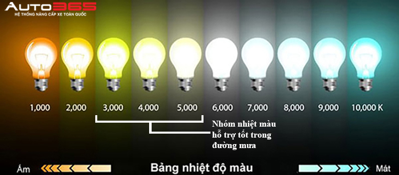 do-den-o-to-mua-mua-4.jpg