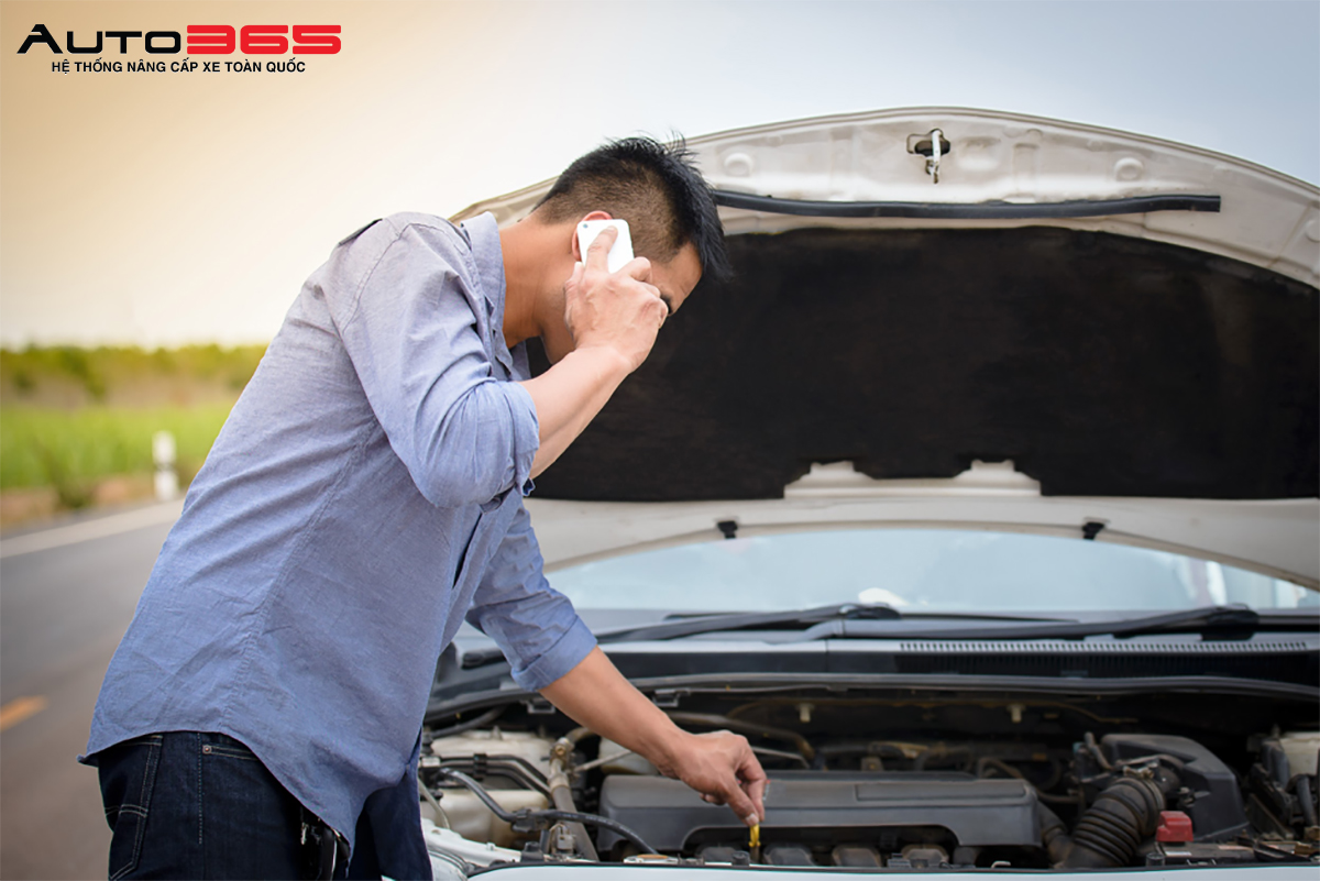 canh-bao-gia-mao-auto365-6.jpg