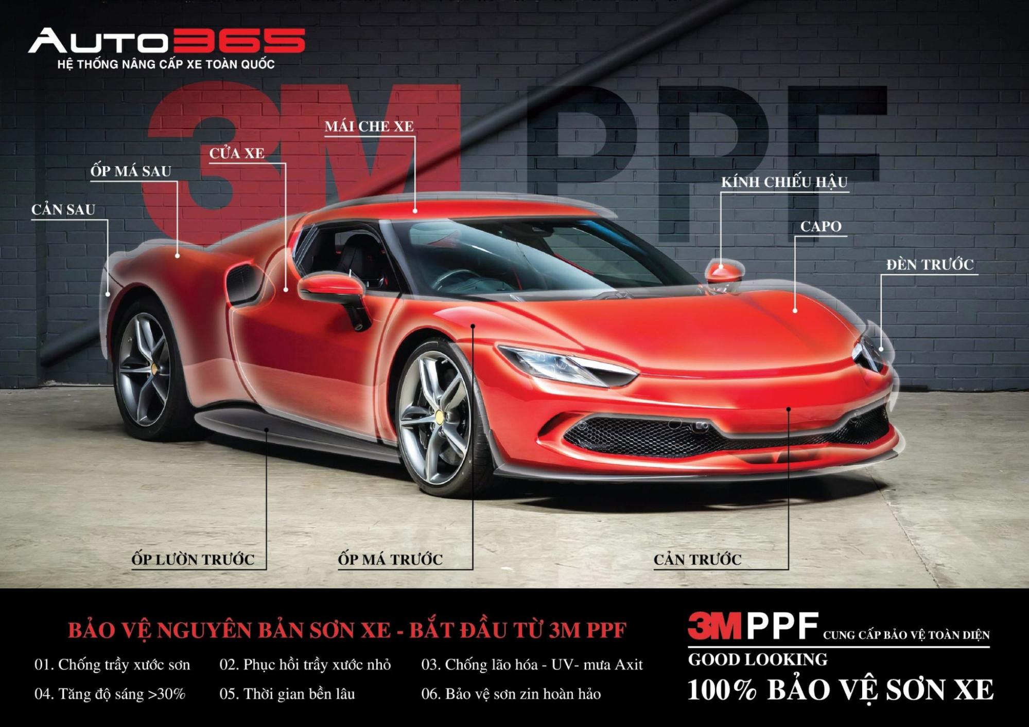 3M-PPF-3.jpg