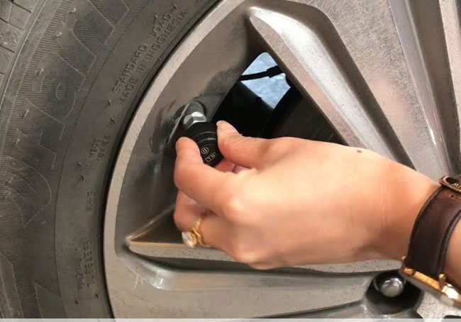 cảm biến áp suất gắn ngoài