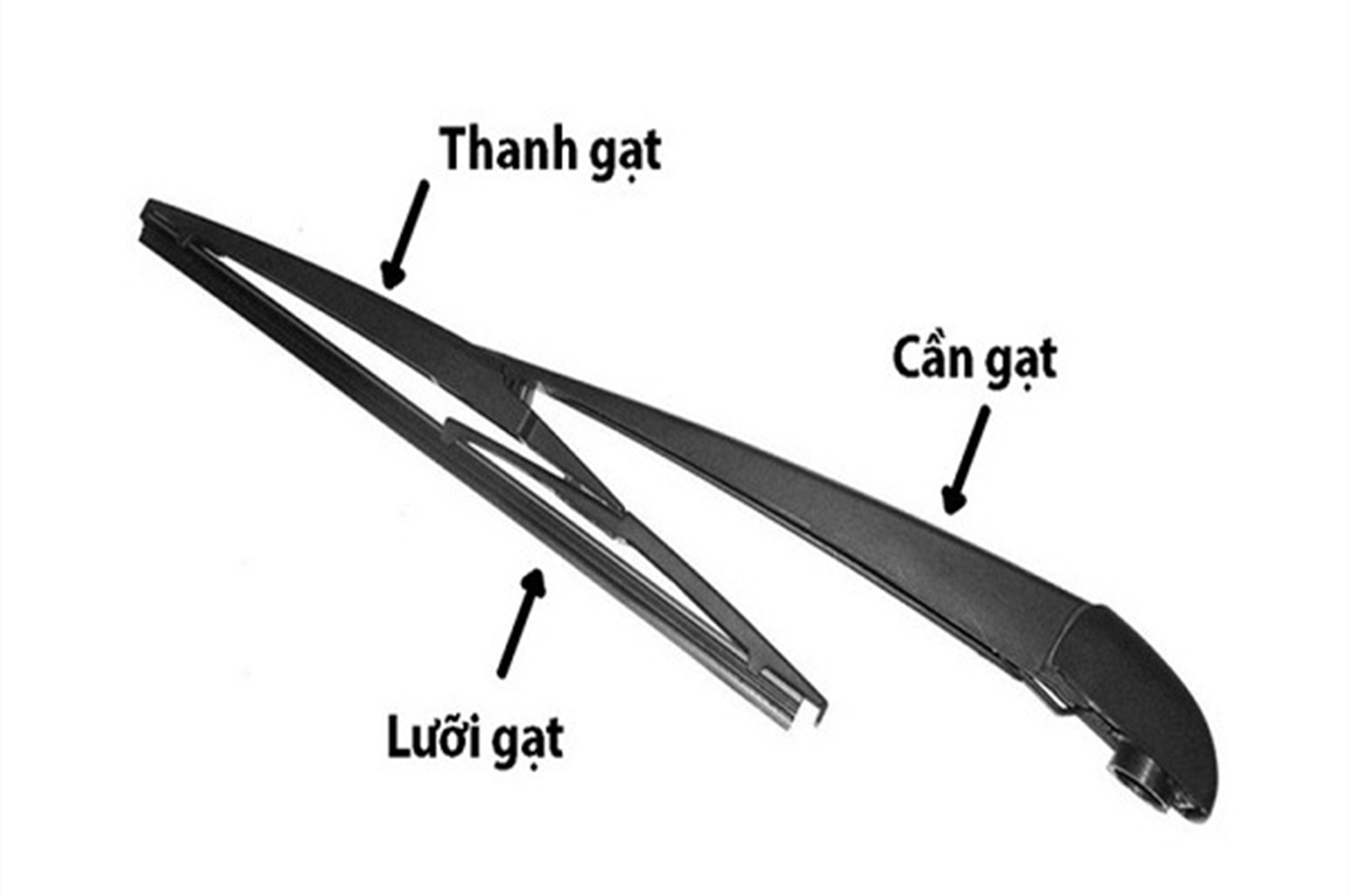 image4.jpg