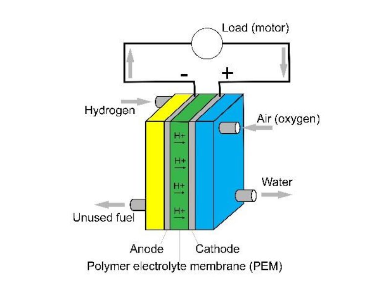 image1.jpg