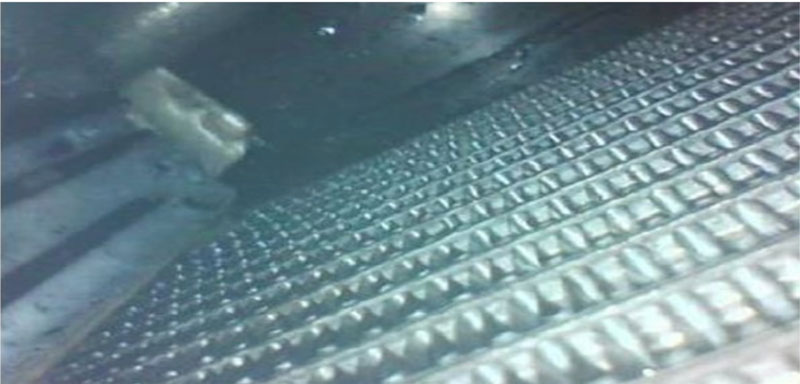 image4.jpg