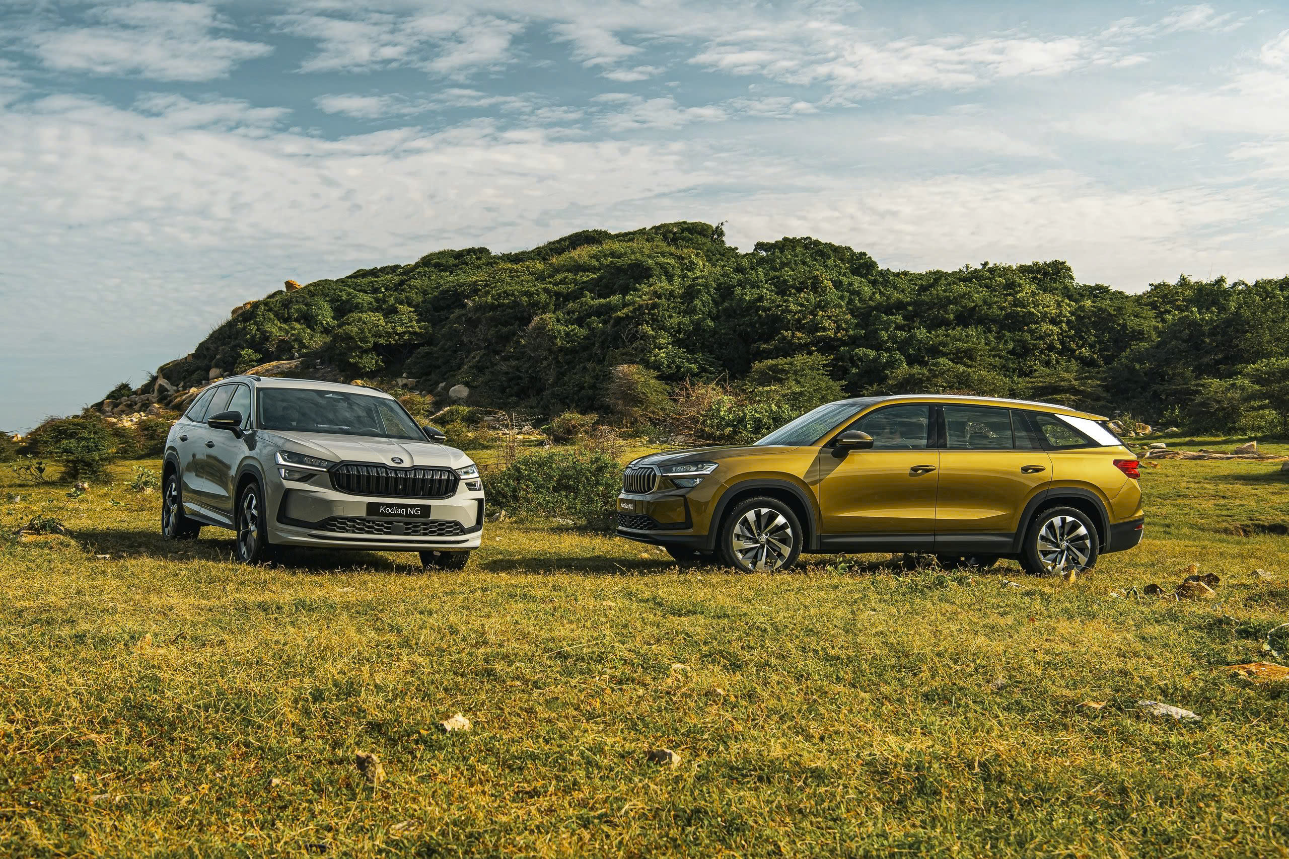 akoda-kodiaq.jpg