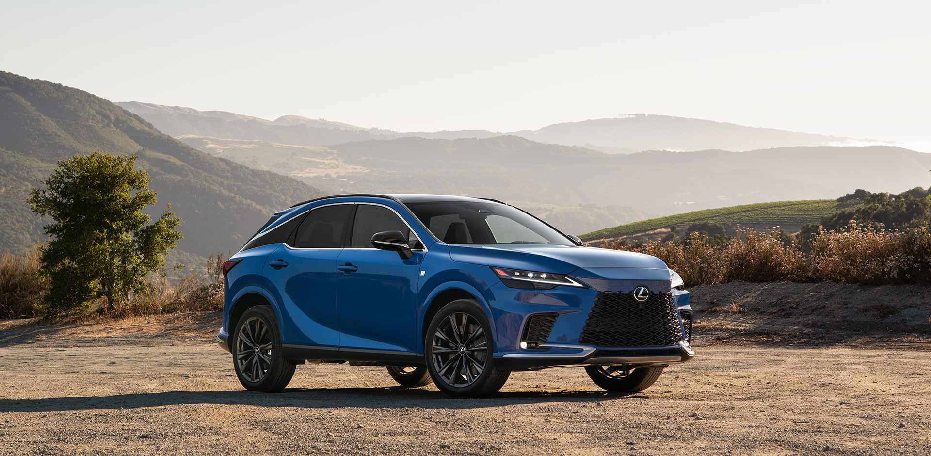 Lexus-RX-350-F-Sport-2024.jpg