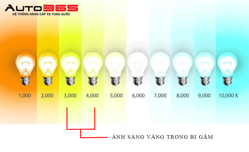 do-den-gam-o-to-la-gi-tai-sao-nen-chon-anh-sang-vang-cho-den-gam-2.jpg