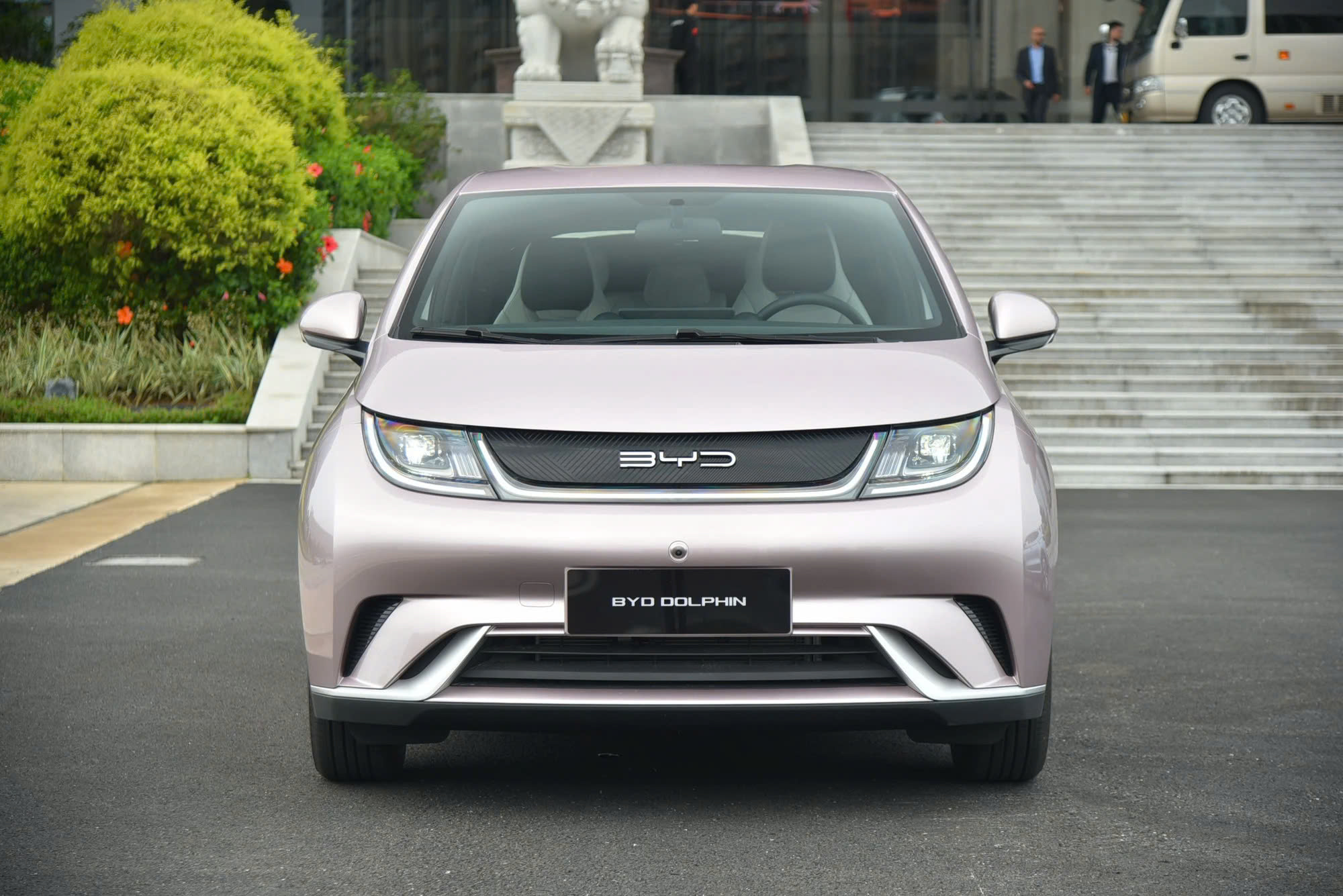 BYD-Dolphin.jpg
