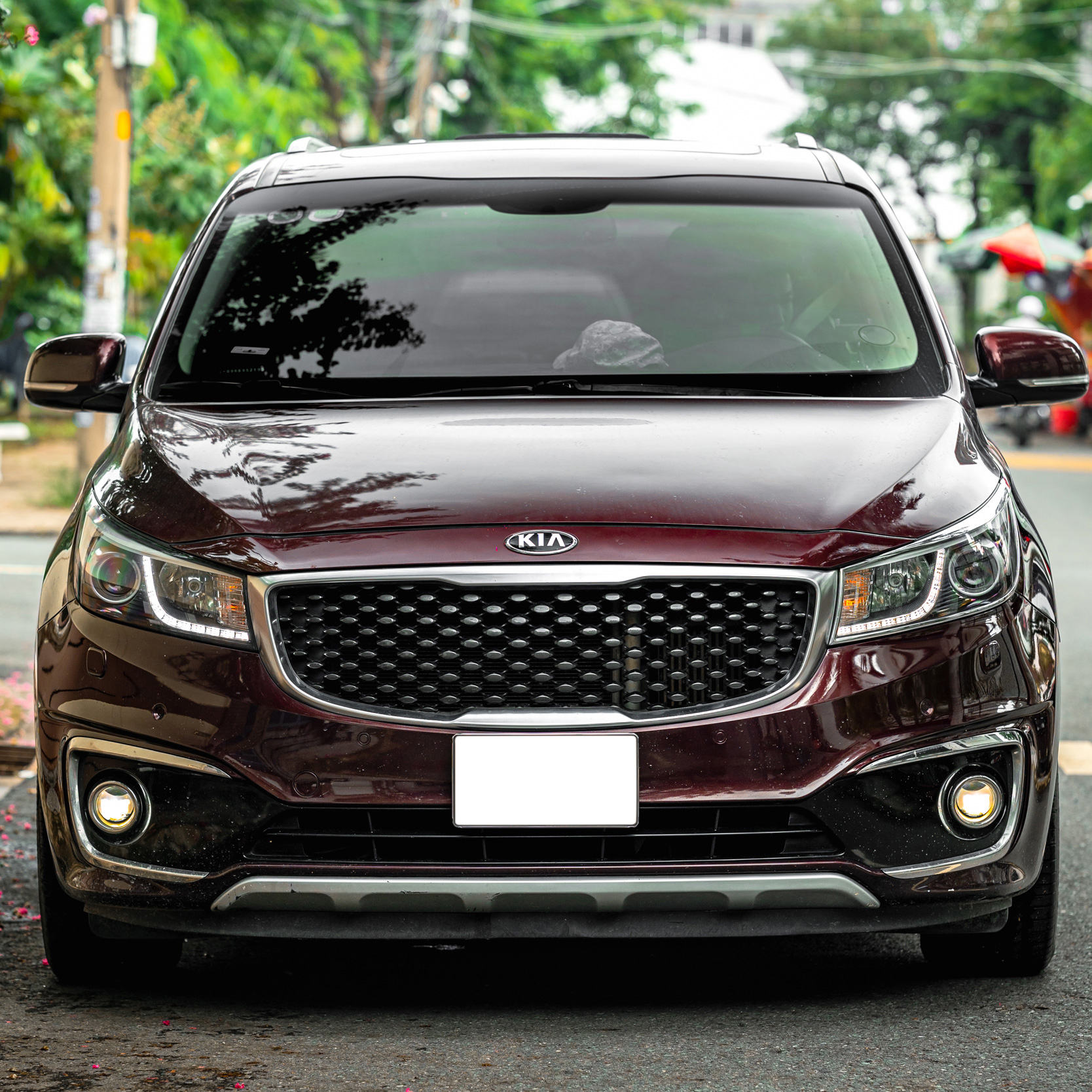 KIA-SEDONA-titan301.jpg